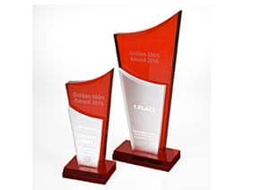Âward 2016_klein Golden Shirt Award 2016_von ZEGO